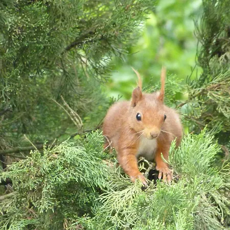 Domaine De Bonnet Bed & Breakfast