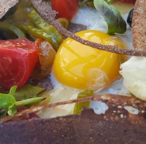 Domaine De Bonnet Castelnau-de-Lévis