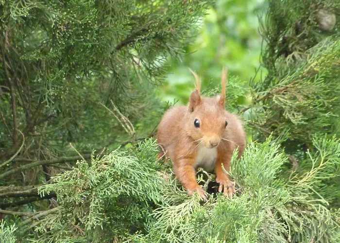 Domaine De Bonnet Bed & Breakfast