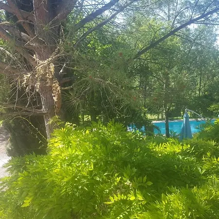 Bed & Breakfast Domaine De Bonnet