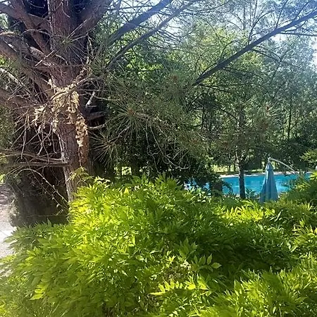 Domaine De Bonnet 3*